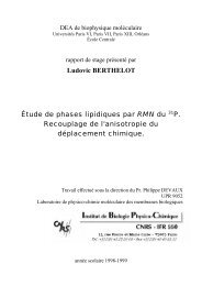 Ludovic BERTHELOT Étude de phases lipidiques par RMN du 31P ...