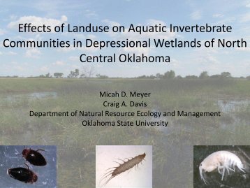 Effects of land use on aquatic invertebrate communities in ...