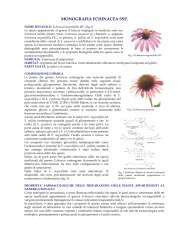 MONOGRAFIA ECHINACEA SSP. - Monoselect.it