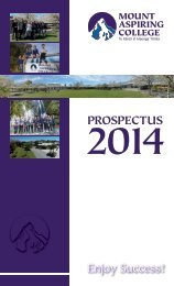 MAC Prospectus 2014