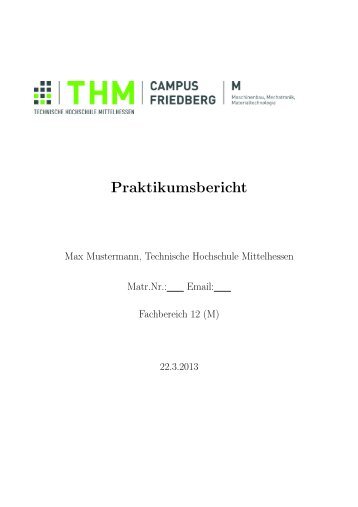 Vorlage für BPS-Berichte - Technische Hochschule Mittelhessen