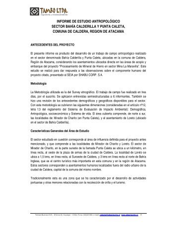 Anexo 15 - SEA - Servicio de evaluaciÃ³n ambiental