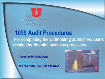 1099 Audit Procedures H.pdf - Financial & Business Services