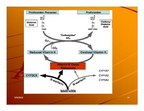 Anticoagulation-related intracranial hemorrhage - Henry Ford Health ...