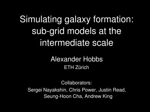 Simulating galaxy formation: sub-grid models at the intermediate scale