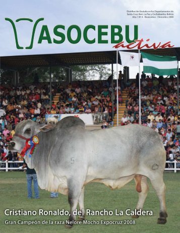 Mejor Hembra Adulta - ASOCEBU