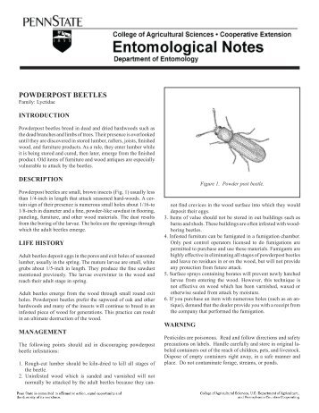 PDF version of Powderpost Beetles Fact Sheet - Entomology