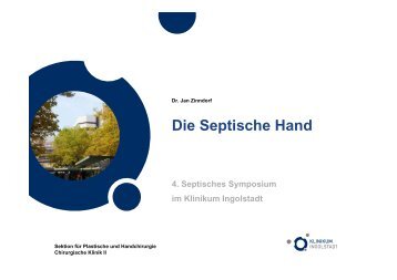 Zinndorf, Die Septische Hand - Septische Chirurgie