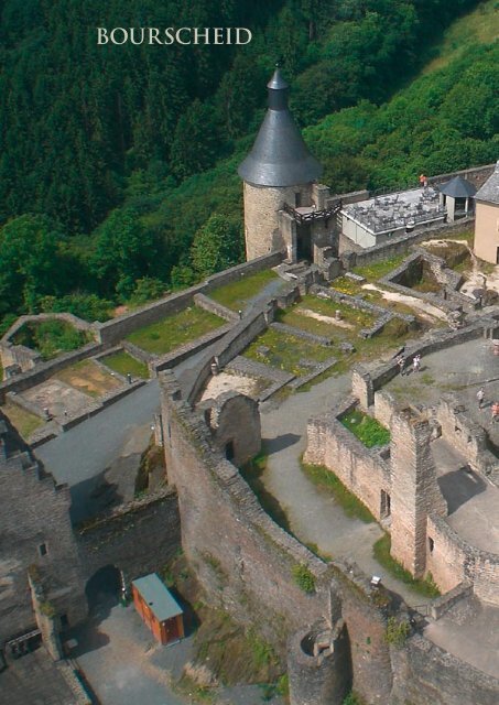 (LE MONT-SAINT-JEAN) / BURG  JOHANNISBERG