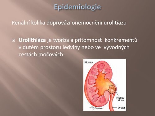 RenÃ¡lnÃ­ kolika charakteristika lÃ©Äby