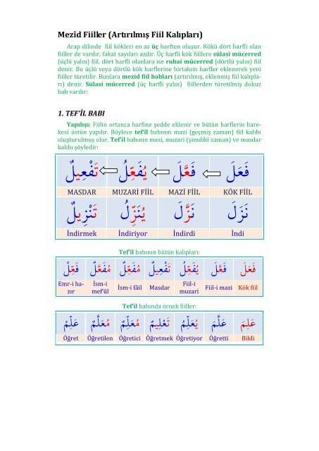 fiil+bablarÄ± mezÄ±d â artÄ±rÄ±lmÄ±s fÄ±Ä±l kalÄ±plarÄ± - gariban tavuk