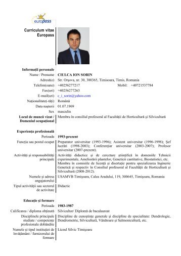 CV Ciulca Sorin.pdf