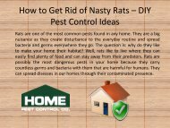 How to Get Rid of Nasty Rats – DIY Pest Control Ideas