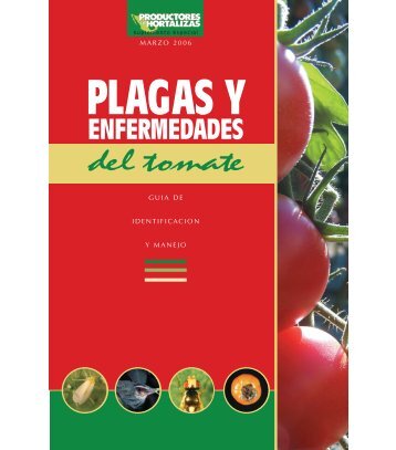 enfermedades del tomate - Vegetable MD Online - Cornell University