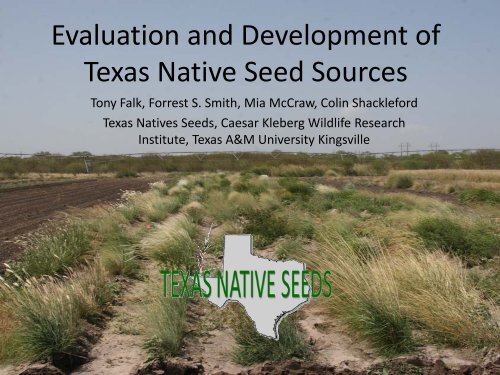 Evaluation and Development of Texas Native Seed Sources