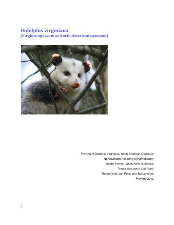 Didelphis virginiana - Northwestern Academy of Homeopathy