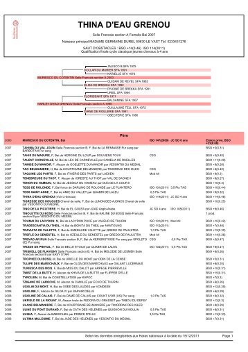 Télécharger la fiche des Haras Nationnaux - Club hippique de ...