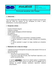 protocole morphine - Purpan.pdf - Urgentologue