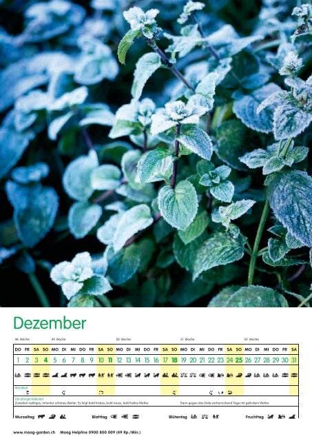 Maag Gartenkalender 2011 - Maag Garden