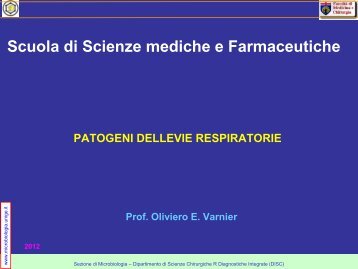 Scuola di Scienze mediche e Farmaceutiche - Sezione di ...