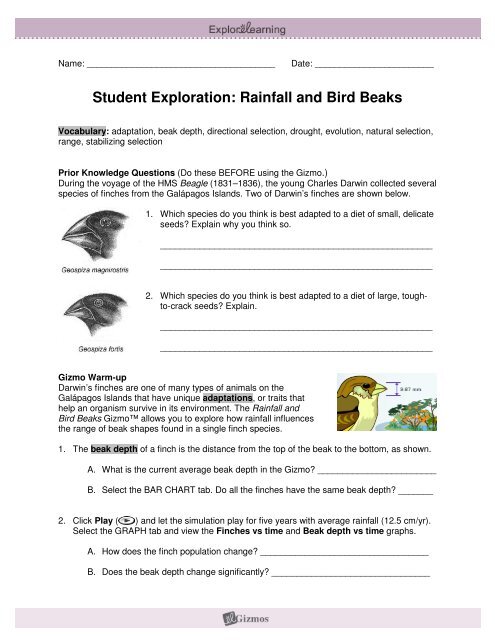 Student Exploration Rainfall And Bird Beaks