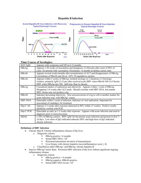 Hepatitis B Infection Time Course Of Serologies