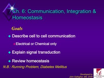 Chapter 6: Communication, Integration, and Homeostasis, Part 1