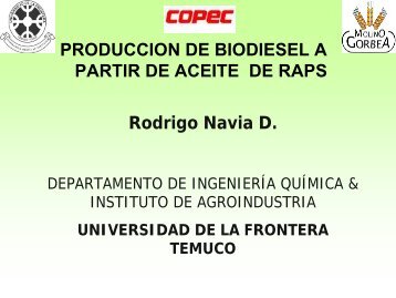 ProducciÃ³n de biodiesel a partir de aceite de raps - Odepa