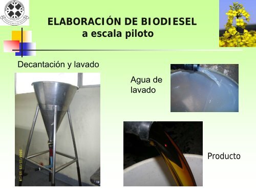 ProducciÃ³n de biodiesel a partir de aceite de raps - Odepa