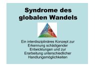 Syndrome des globalen Wandels - Transfer-21