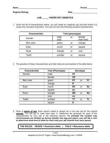heredity lab worksheet Try these genetics with sponge bob worksheets: genetics with sponge bob to teaching high school genetics unit that includes worksheets and labs. heredity lab worksheet Try these genetics with sponge bob worksheets: genetics with sponge bob to teaching high school genetics unit that includes worksheets and labs.