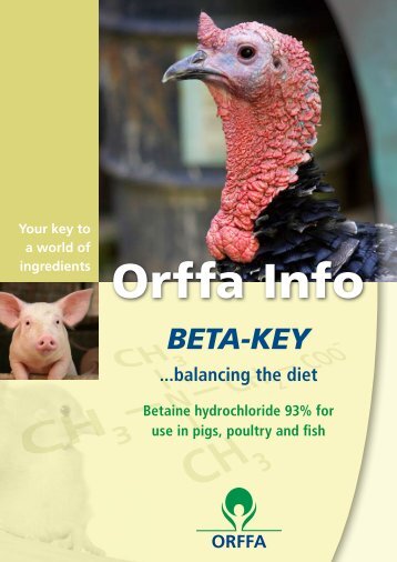 Leaflet Beta Key - Orffa