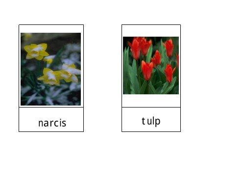 woordkaarten lentebloemen.pdf - Kleutergroep