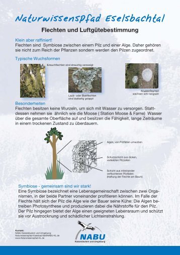 12_Tafel_Flechten_komprimiert.pdf - Naturwissenspfad-Eselsbachtal