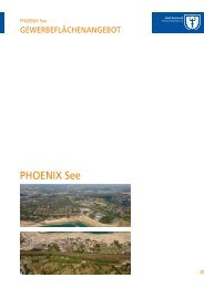 PHOENIX See