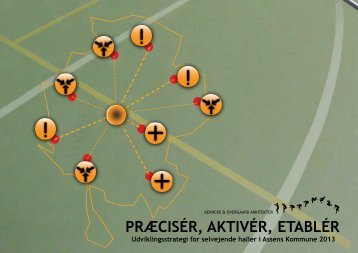 strategirapport 2013.pdf - Aksen - Assens Kommune