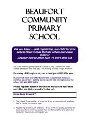 Pupil Premium Letter - Beaufort Community Primary School