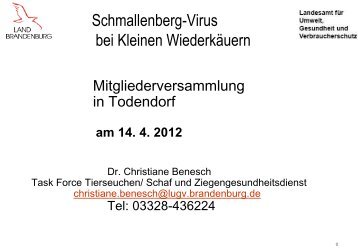Schmallenberg-Virus