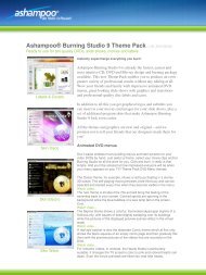 AshampooÂ® Burning Studio 9 Theme Pack