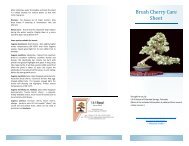Brush Cherry Care Sheet