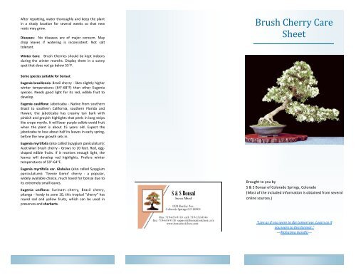 Brush Cherry Care Sheet