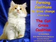 The Cat Crisis Coalition, A Case Study, Carole Webb, Executive