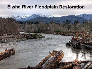 Elwha River Floodplain Restoration