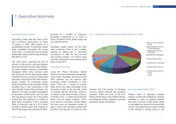 1. Executive Summary - DVCA