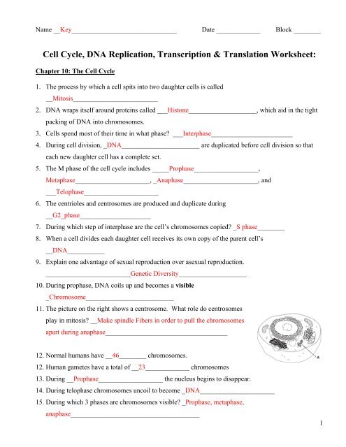 Ch-10-11-12-13-Worksheetkey