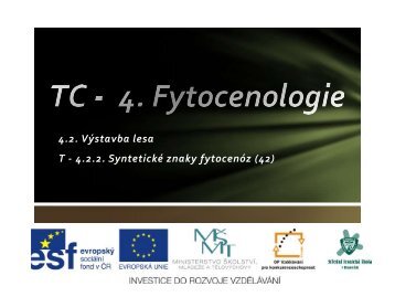 SyntetickÃ© znaky fytocenÃ³z - Projekt EU