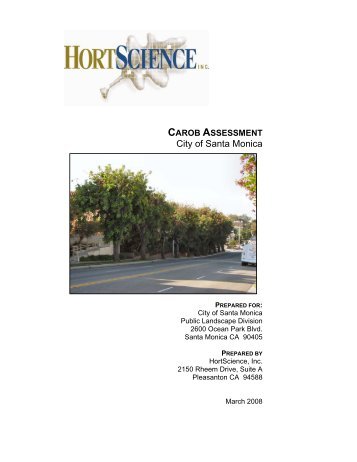 Carob Assessment - City of Santa Monica