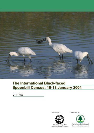 The International Black-faced Spoonbill Census: 16-18 January 2004