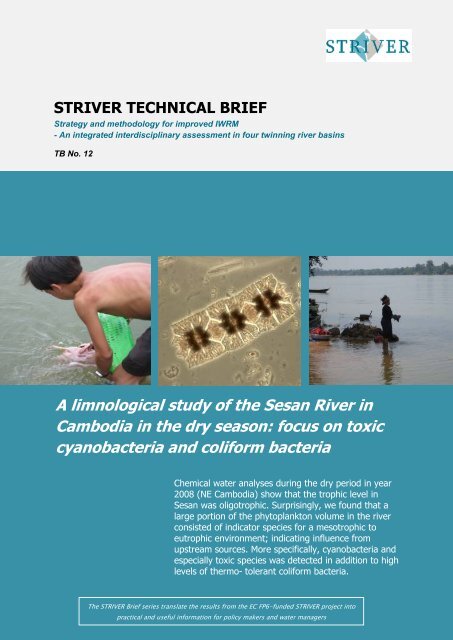A limnological study of the Sesan River - NIVA