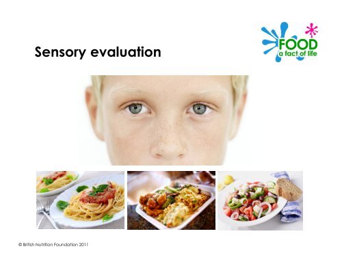 Sensory Matters Handout Pdf 3 93 Mb